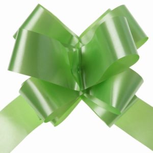 Nœuds de décoration automatiques pour mariage/évènement. Couleur : vert.