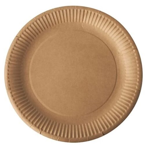 assiette carton éco