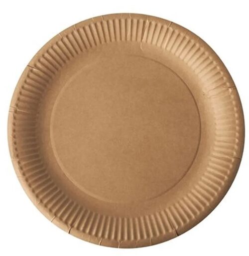assiette carton éco